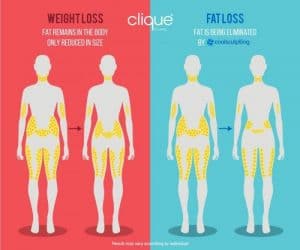 Weight_Loss_vs_Fat_Loss