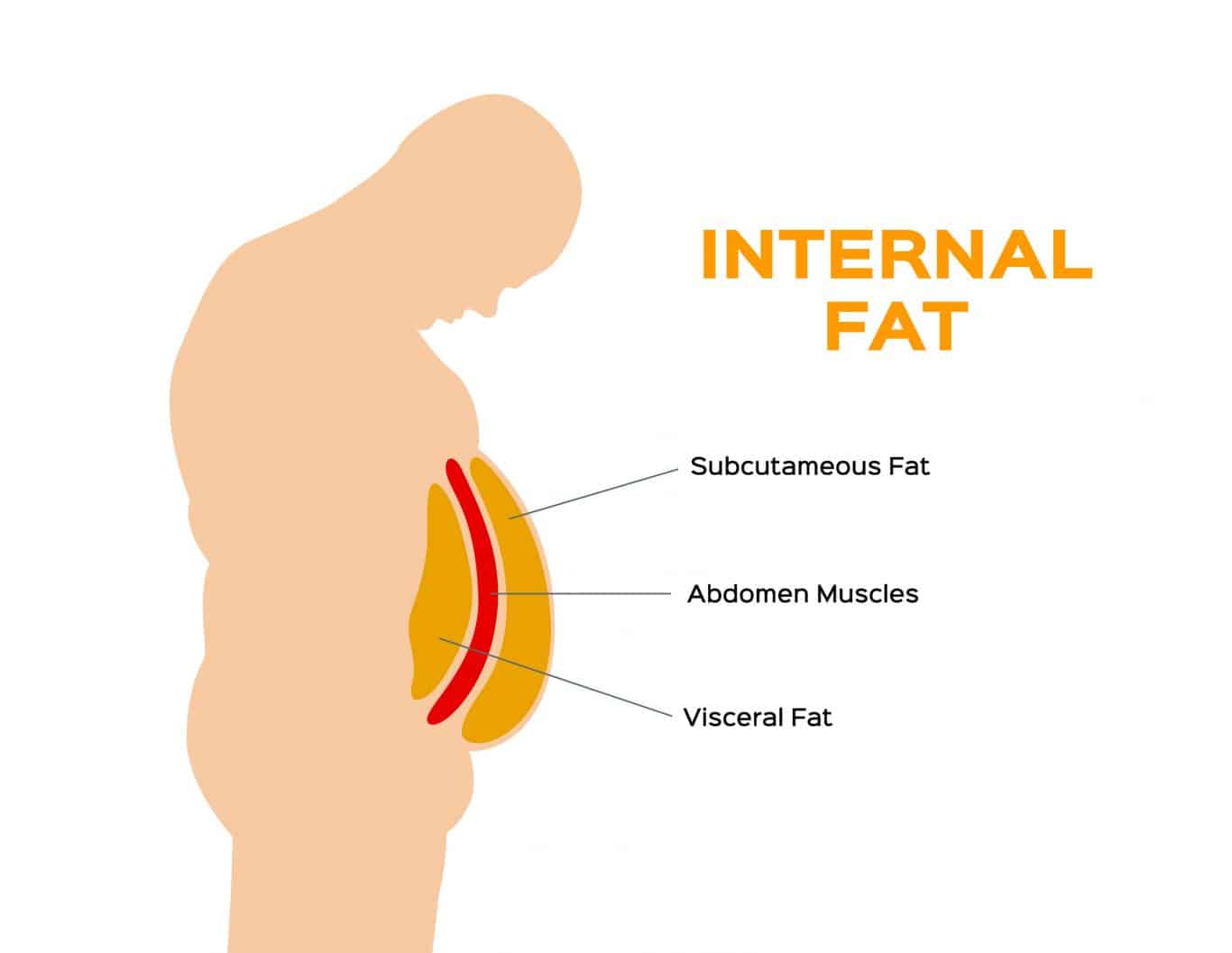 You are currently viewing Abdominal Fat: Health Risks and 10 Effective Treatment Options