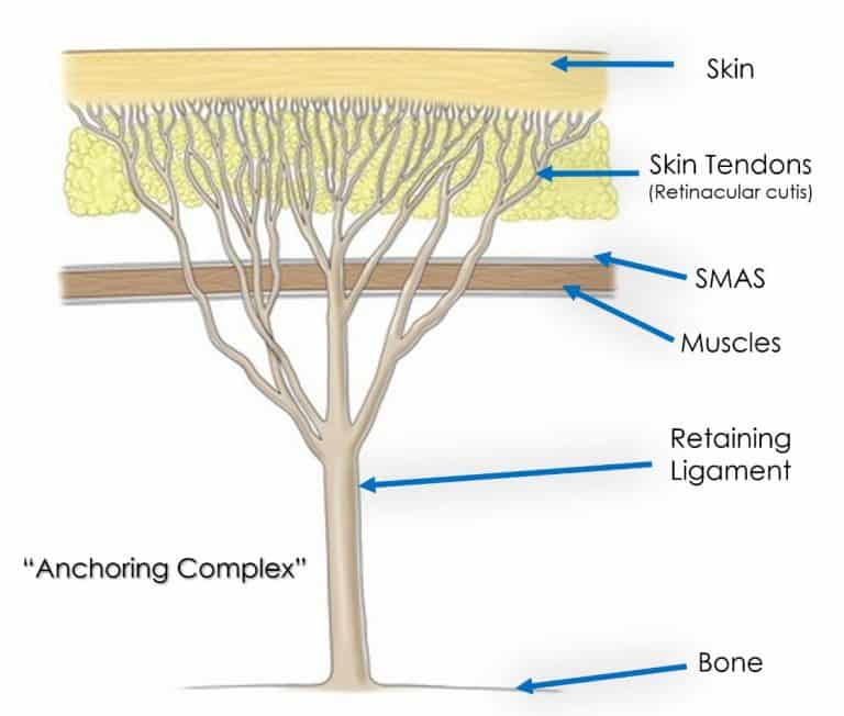 Best Ultherapy Malaysia