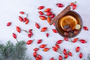 Read more about the article Rosehip Oil in Skincare: All You Need to Know