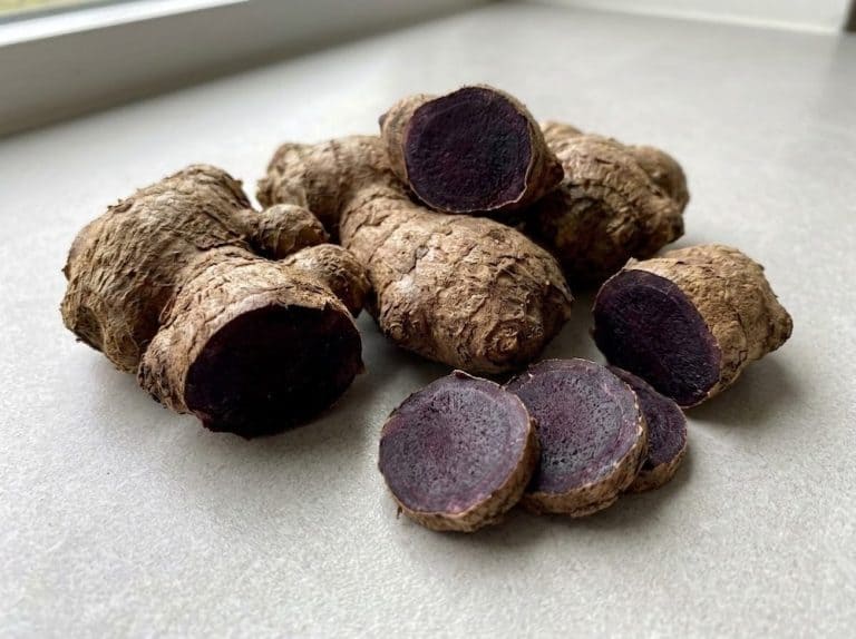 Read more about the article Black Ginger (Kaempferia parviflora): What Is It, Benefits and Nutritional Value