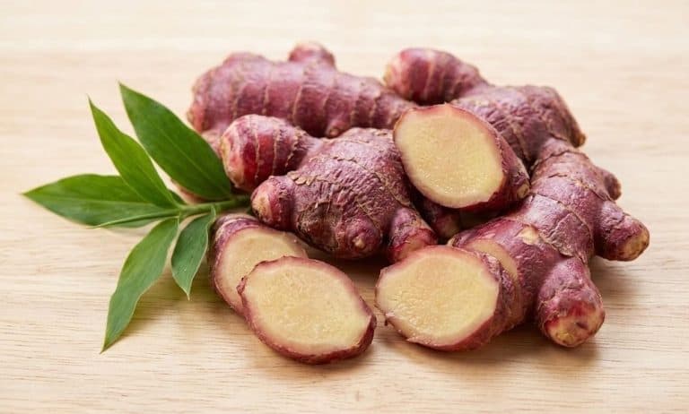 Read more about the article Red Ginger: What is it, Benefits, & Nutritional Value